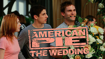 Is American Wedding 2003 On Netflix United Kingdom