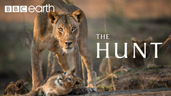 The Hunt: Season 1